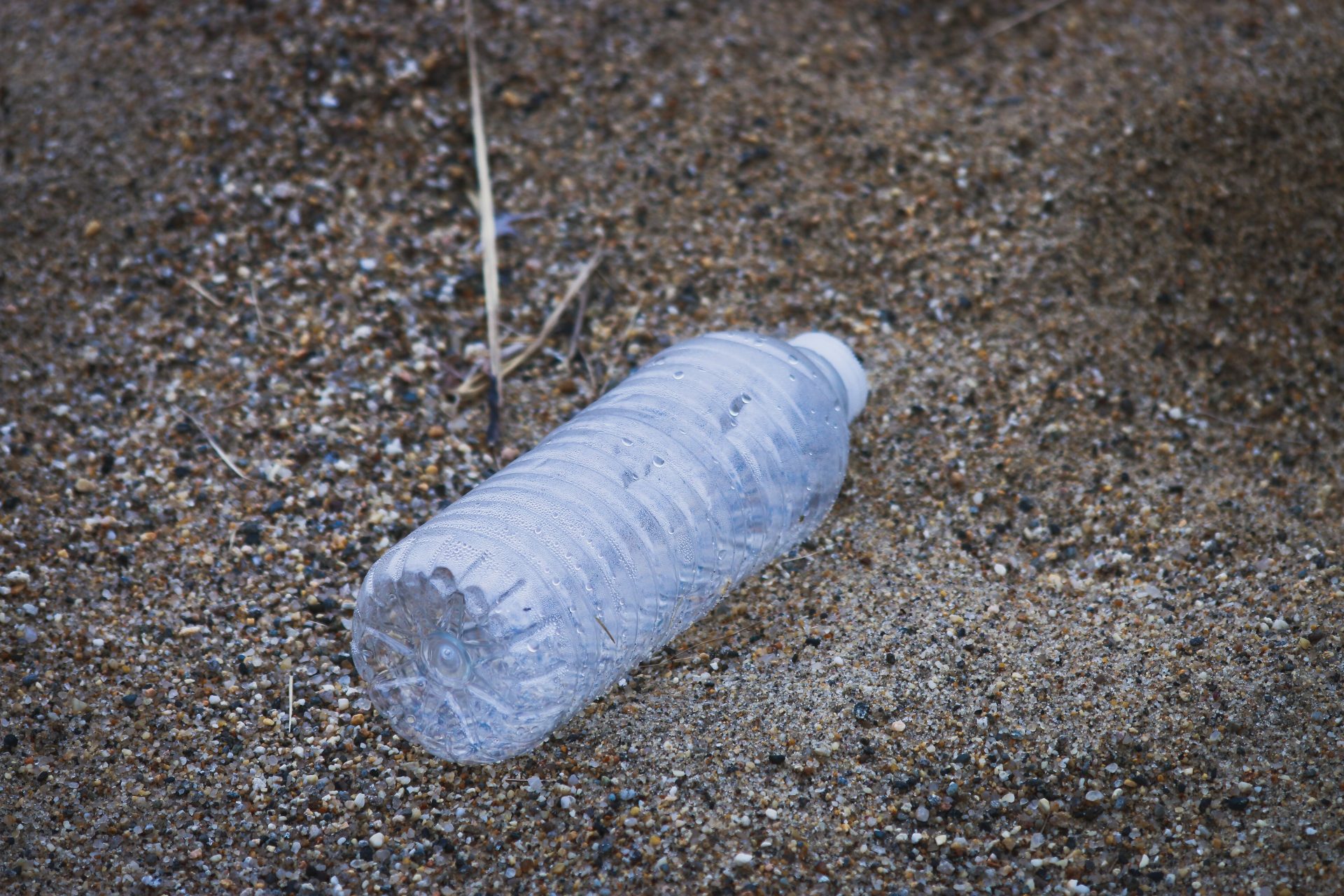 2021.03.02 - Plastic Bottle