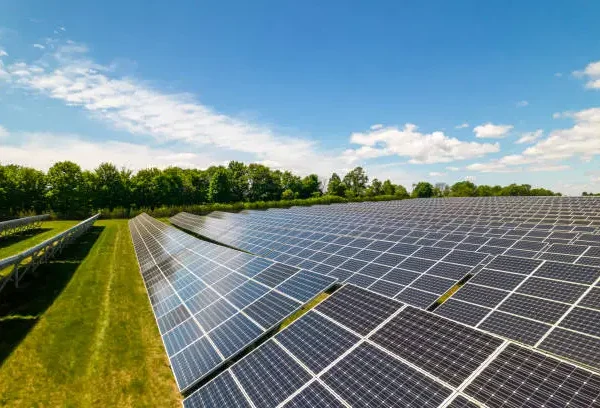 2024.08.13 - Solar Farm